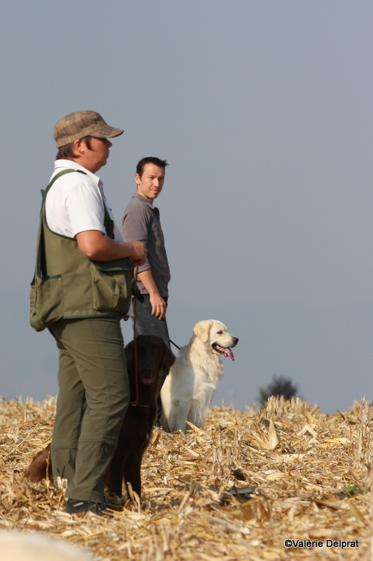 Field Erstein 09 (117).JPG